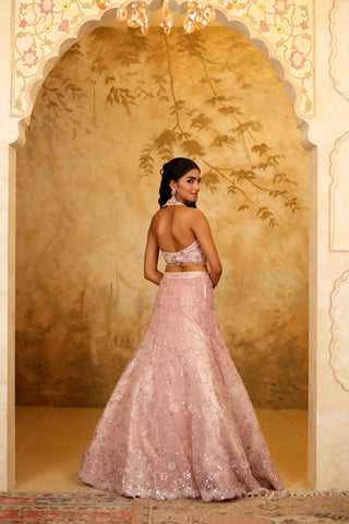 Powder Pink Net Embroidered Lehenga