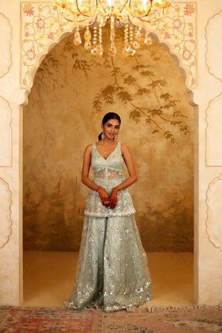 Mint Green Net Embroidered Sharara Set
