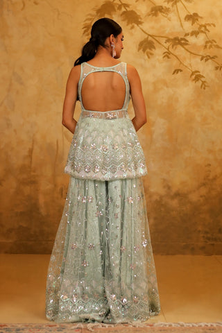 Mint Green Net Embroidered Sharara Set