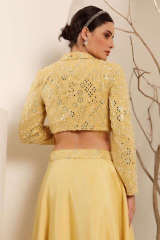 Yellow Hand Embroidered Jacket Skirt with Bustier