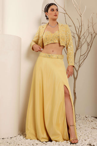 Yellow Hand Embroidered Jacket Skirt with Bustier