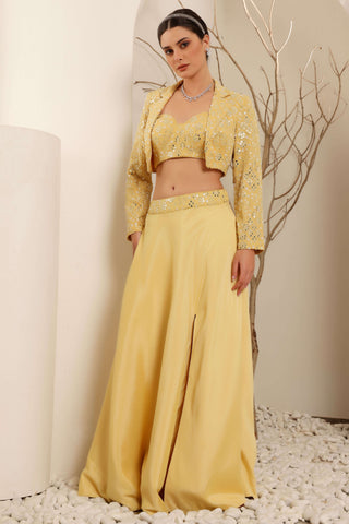 Yellow Hand Embroidered Jacket Skirt with Bustier